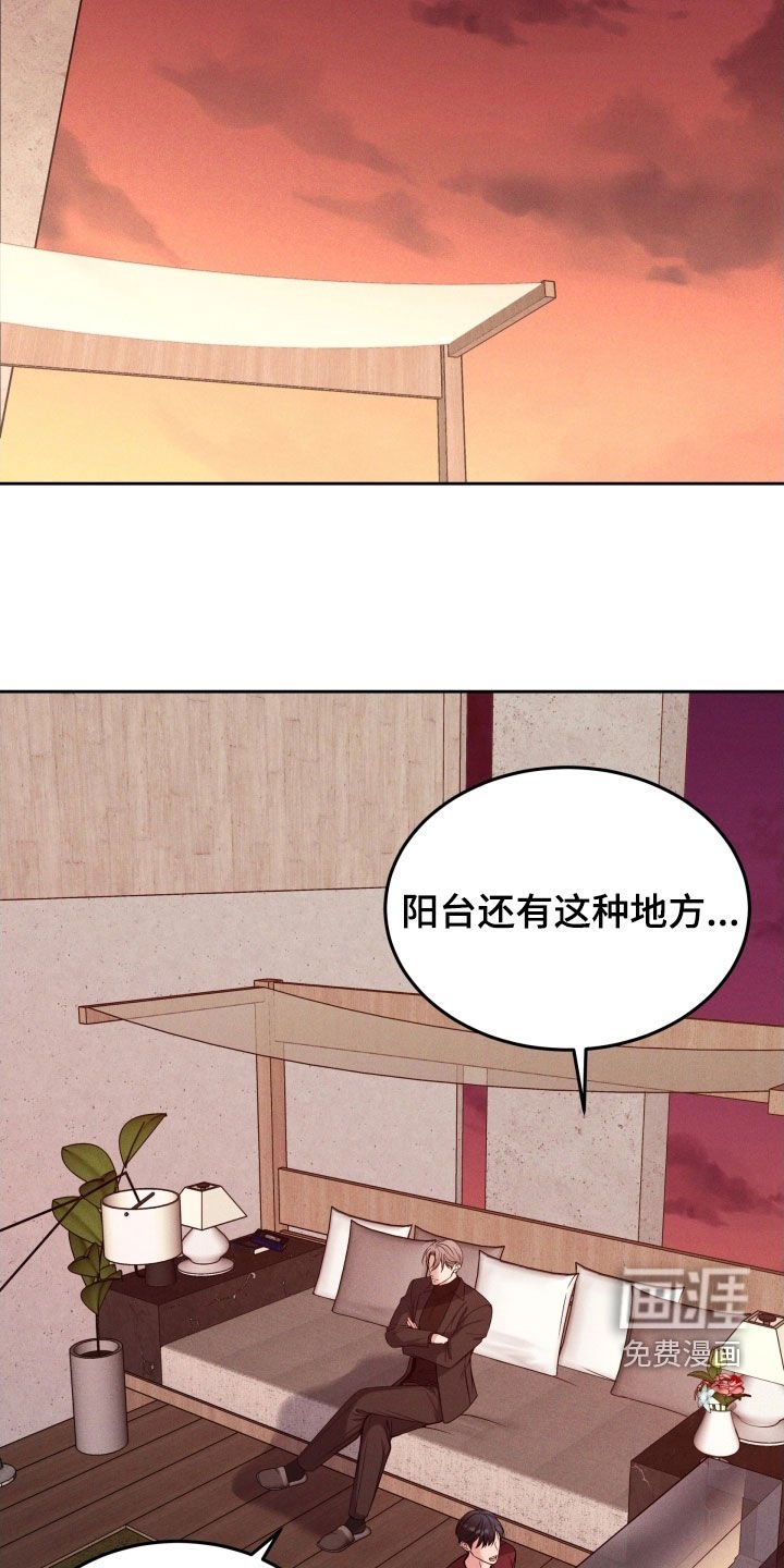 第44章：突然怎么了
