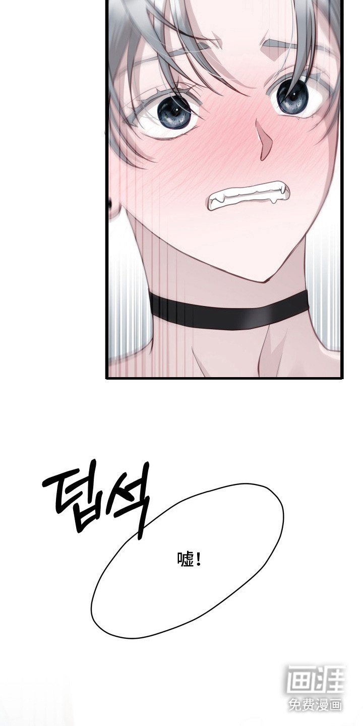 第1章： 组合危机