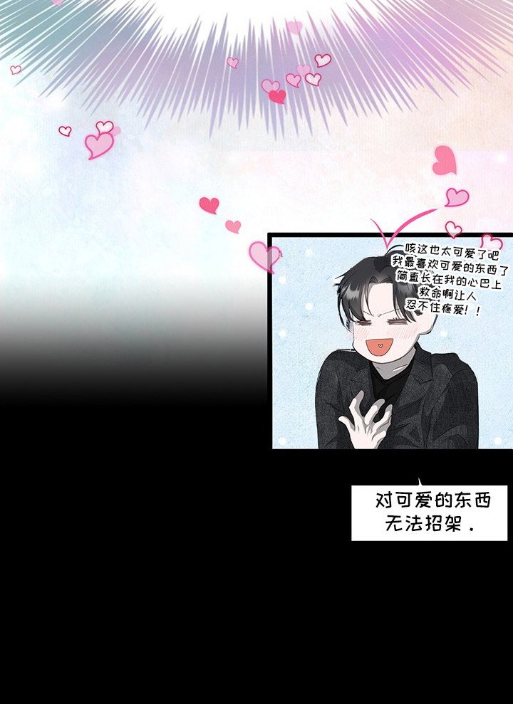 第2章：很可爱