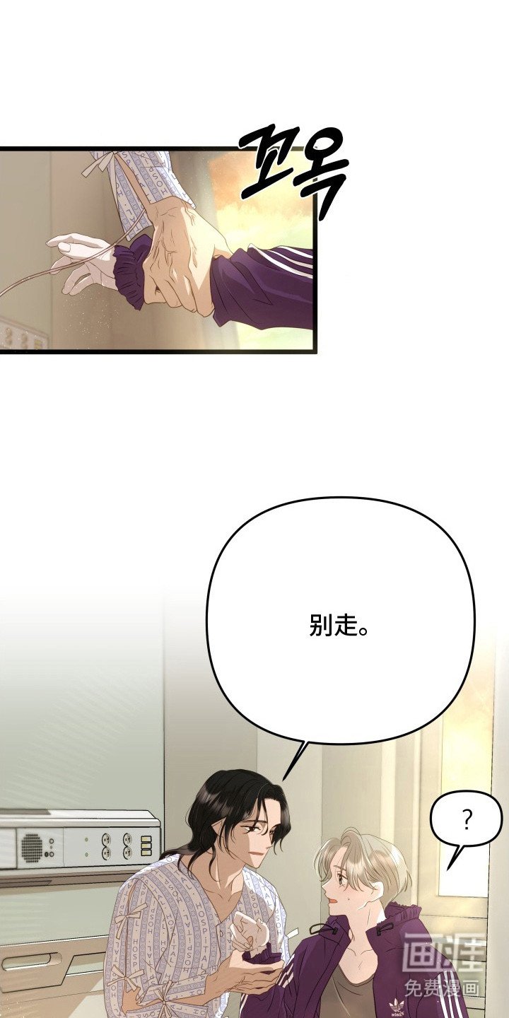 第6章：表白