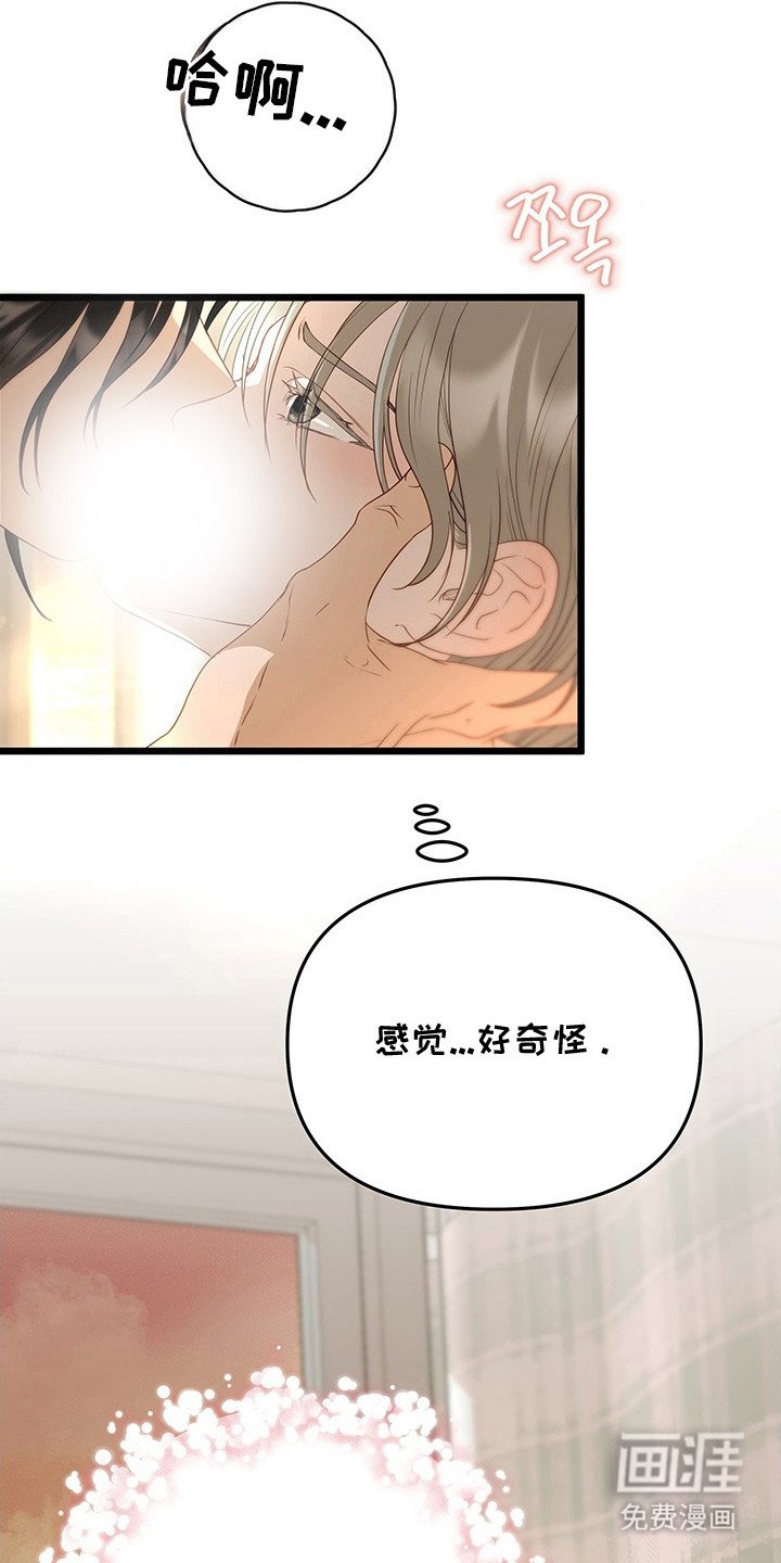 第6章：表白