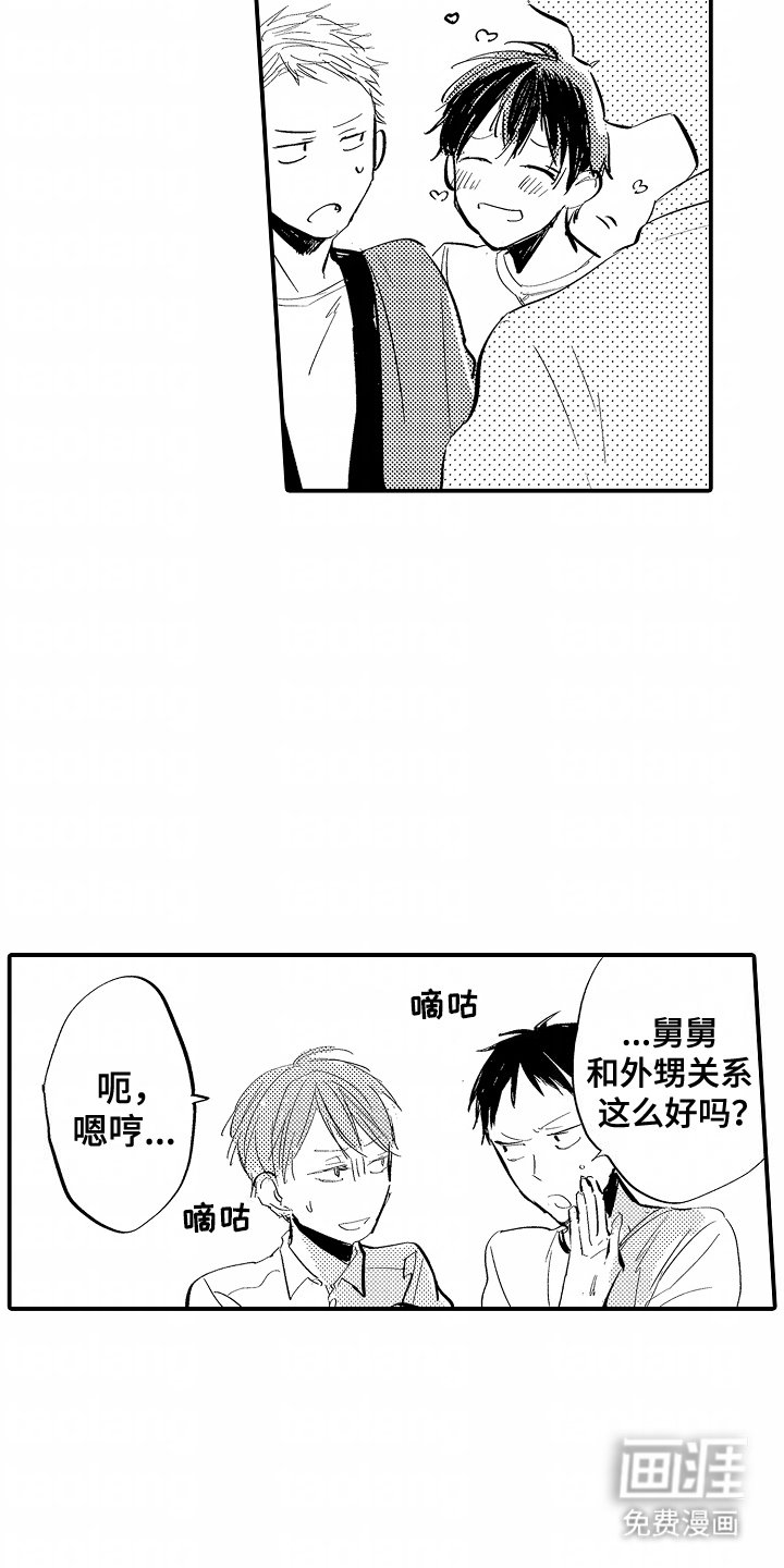 第15章：外甥