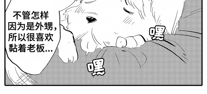 第15章：外甥