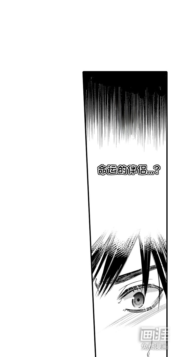 第14章：命运伴侣
