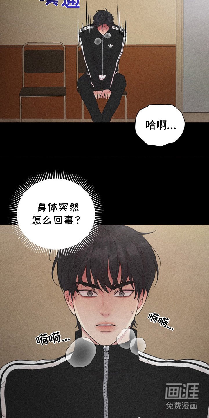 第13章：类似的事