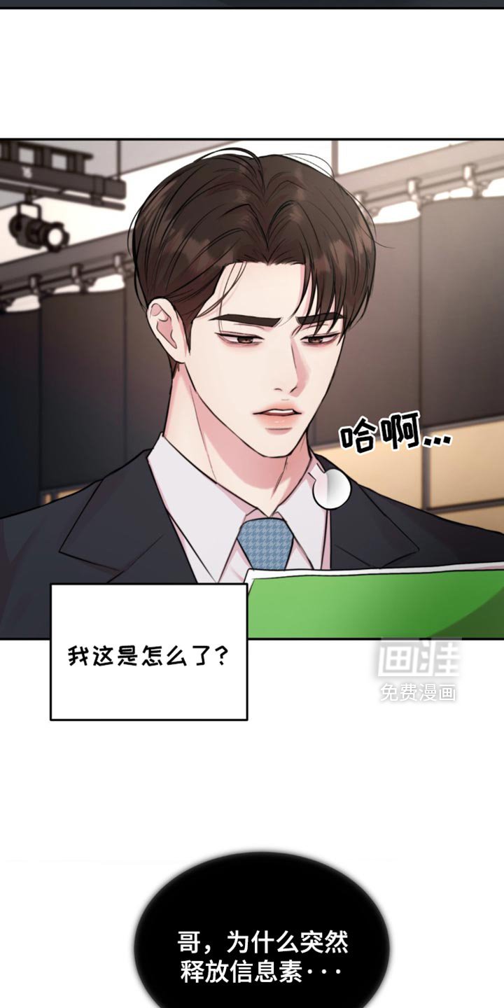 第42章：成功的粉丝
