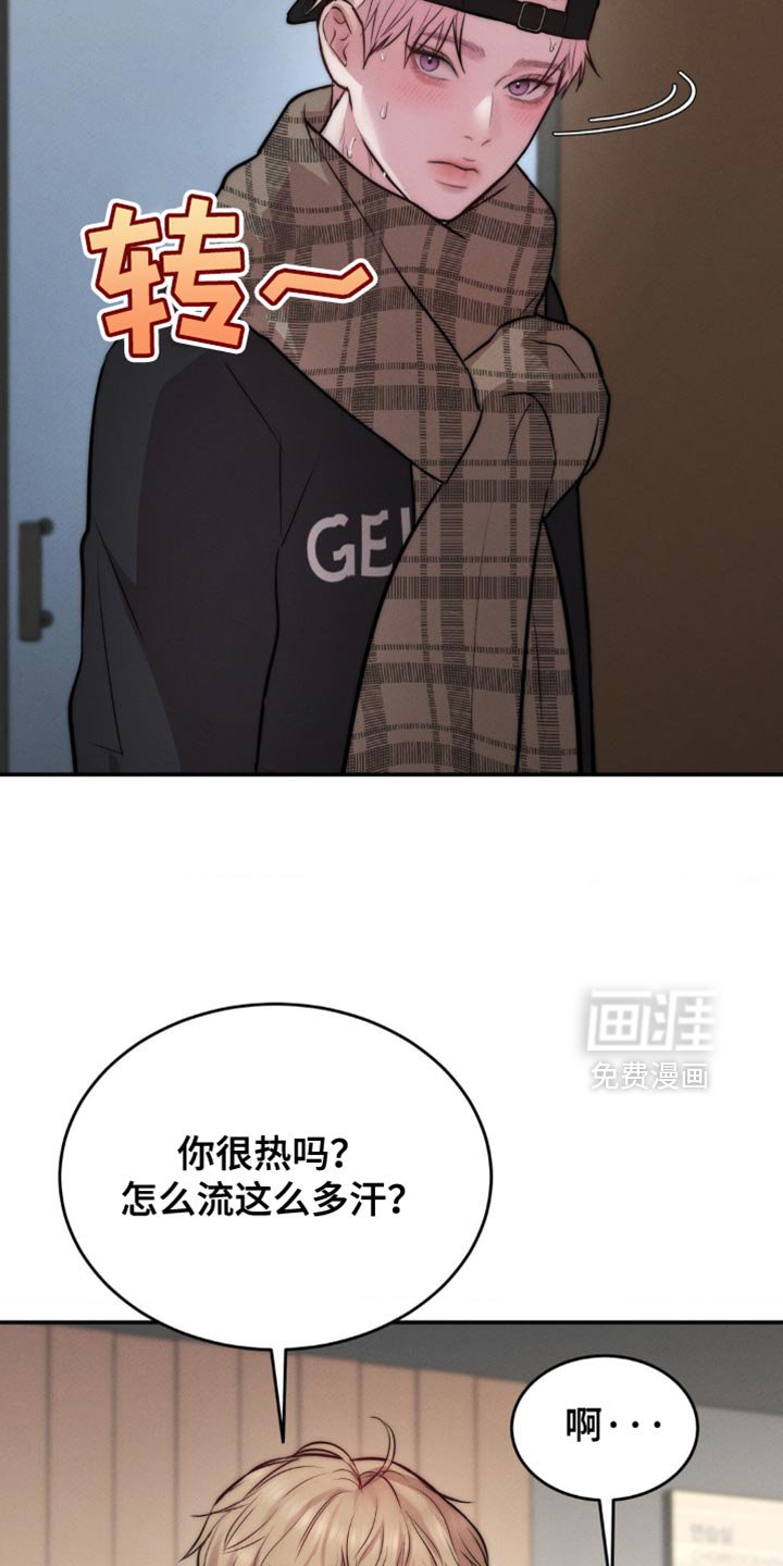 第66章：围巾