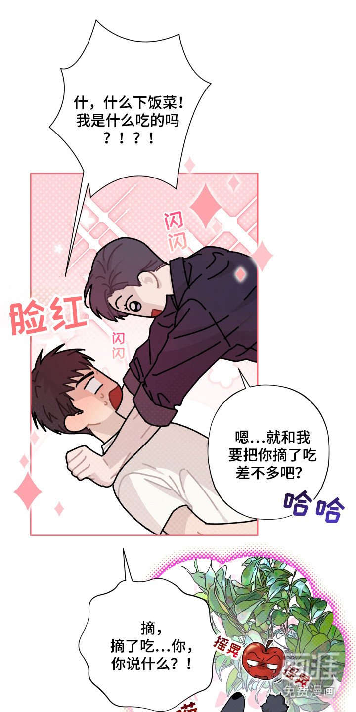 第9章：开胃菜