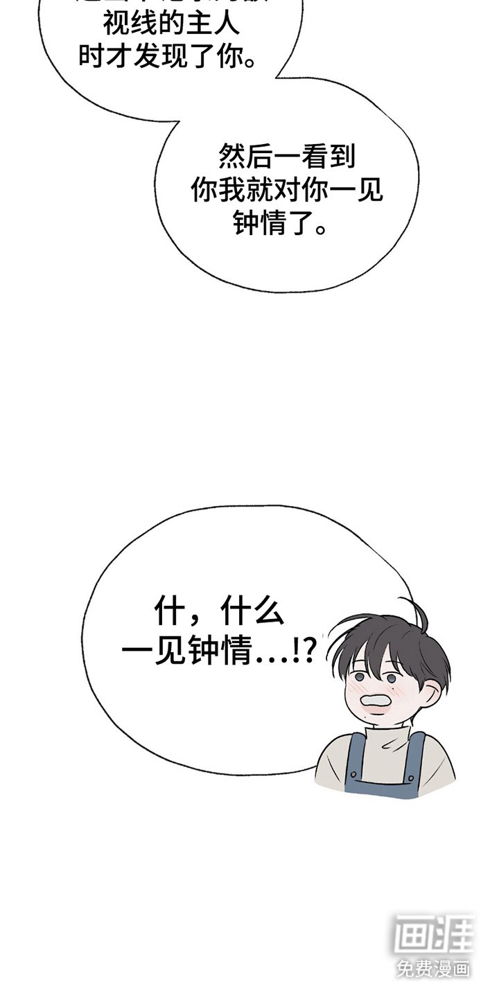 第8章：一见钟情