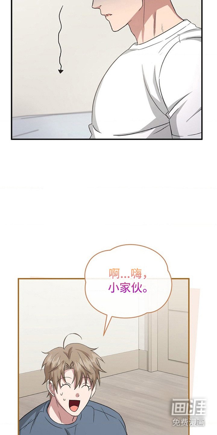 第12章：哄骗 