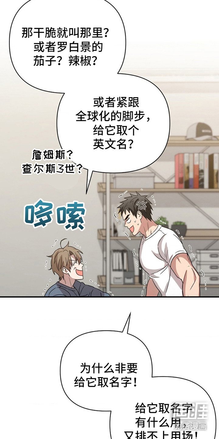 第13章：取名字
