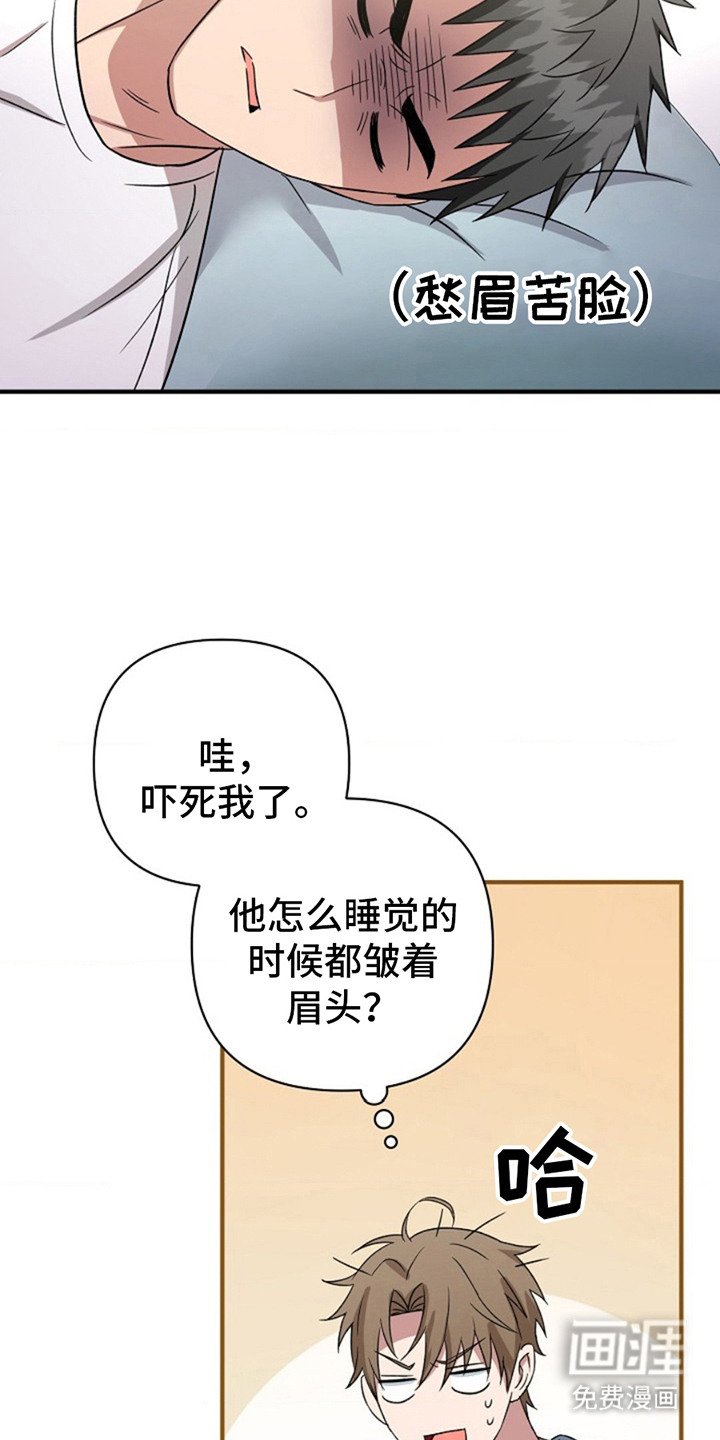 第15章：真好看
