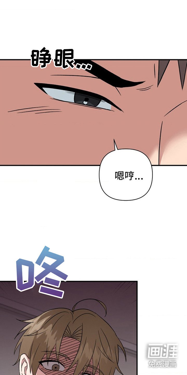 第16章：提议