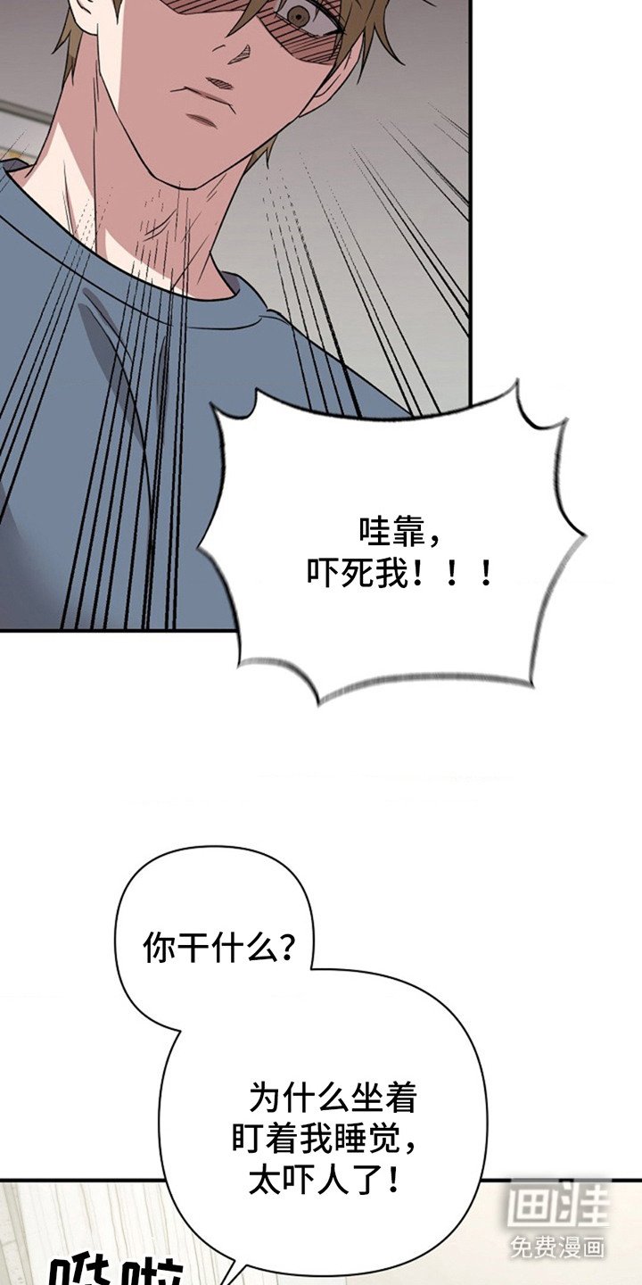 第16章：提议