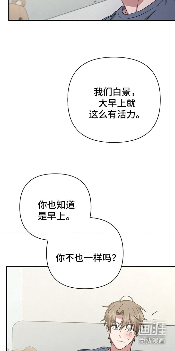 第16章：提议