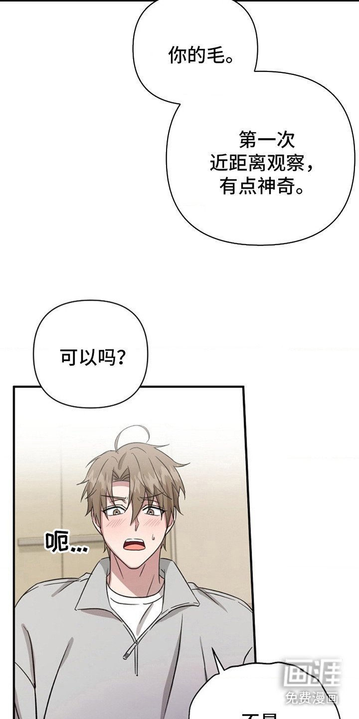 第18章：要疯了