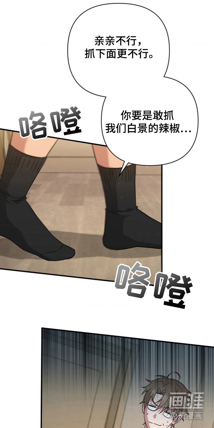 第20章：嫁给我