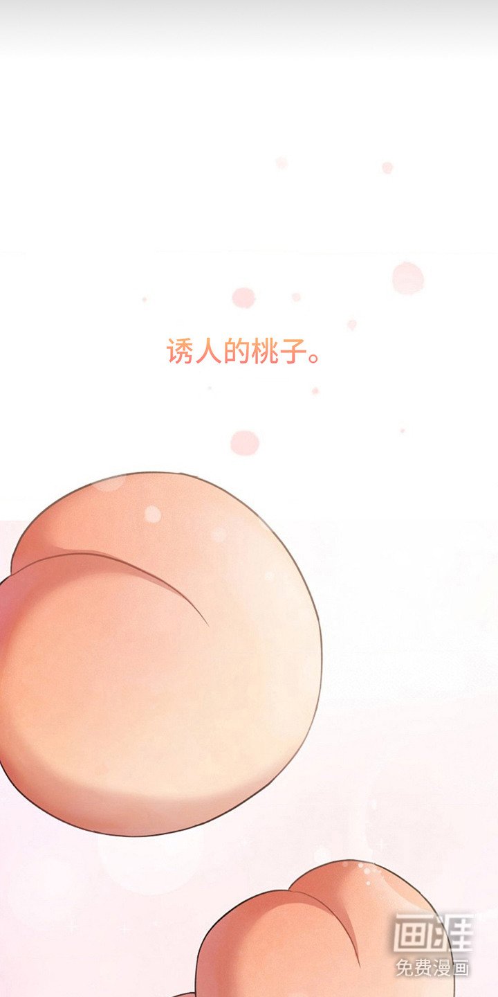 第3章：桃子