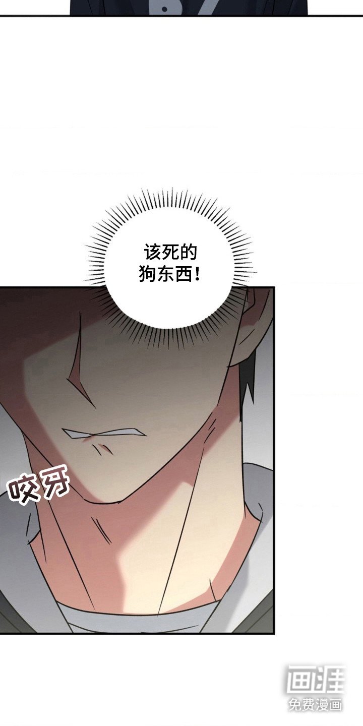 第42章：【第二季】道歉