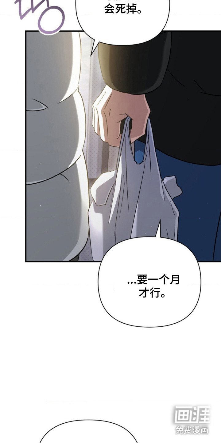 第58章：【第二季】被看见