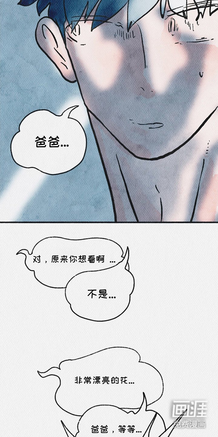 第10章：触手花
