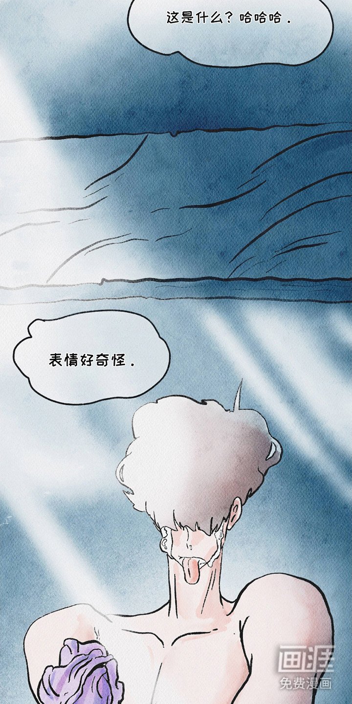 第9章：照片