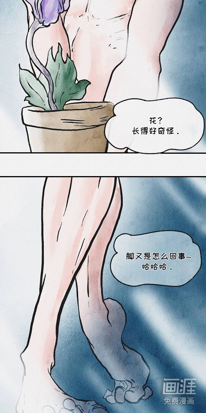 第9章：照片