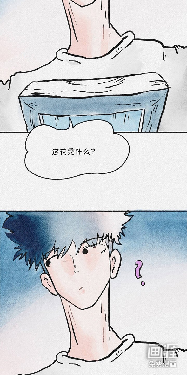 第9章：照片