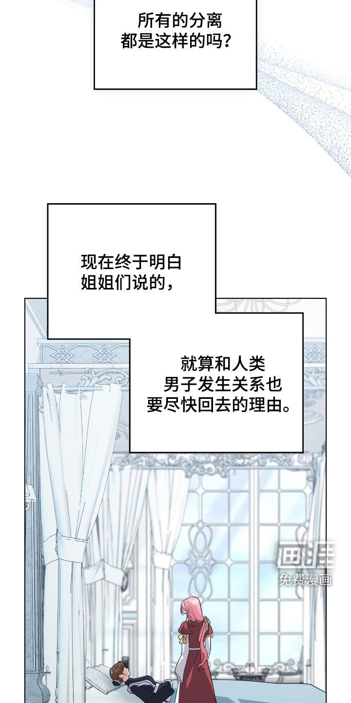 第101章：【第二季】计划