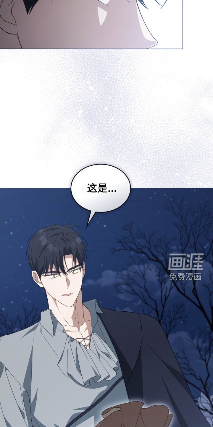 第108章：【第二季】追寻