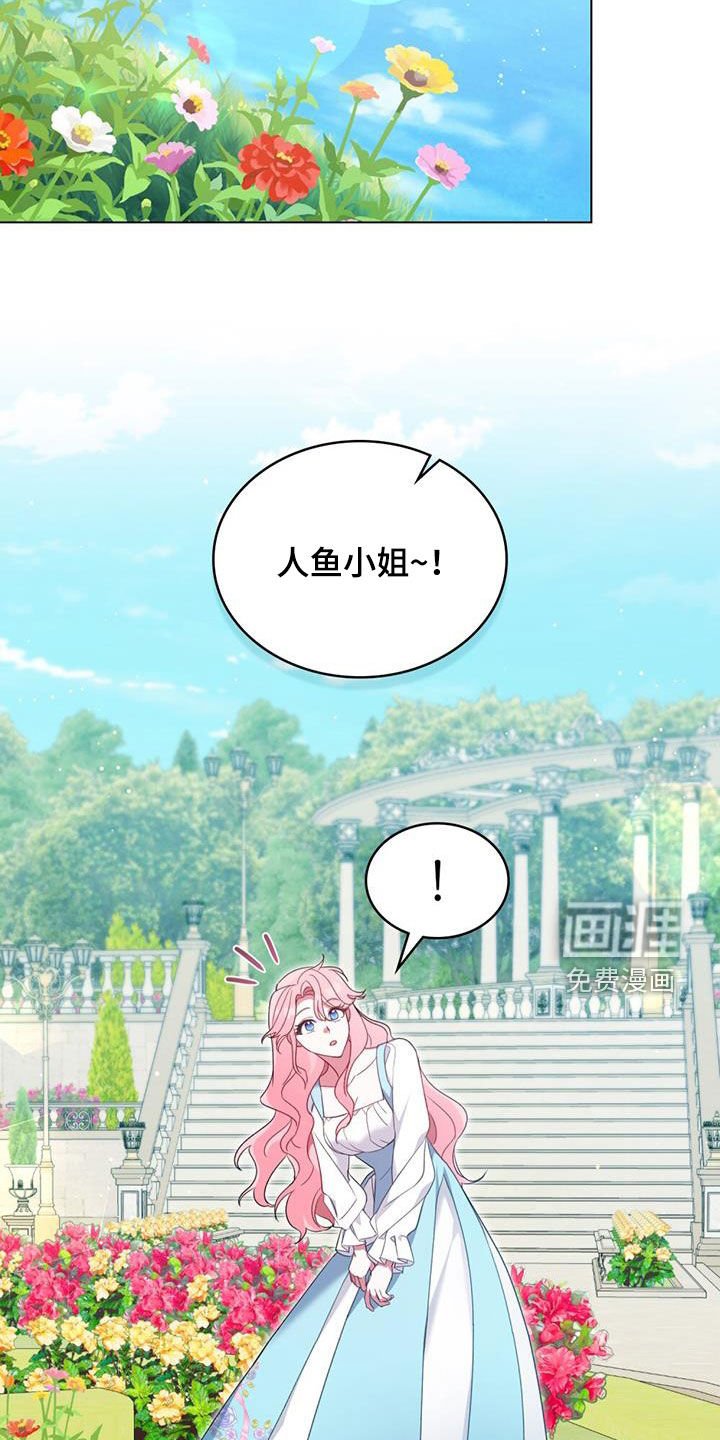 第23章：花园