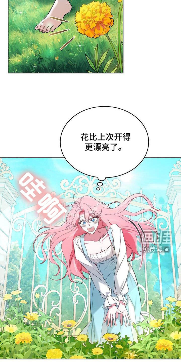 第23章：花园
