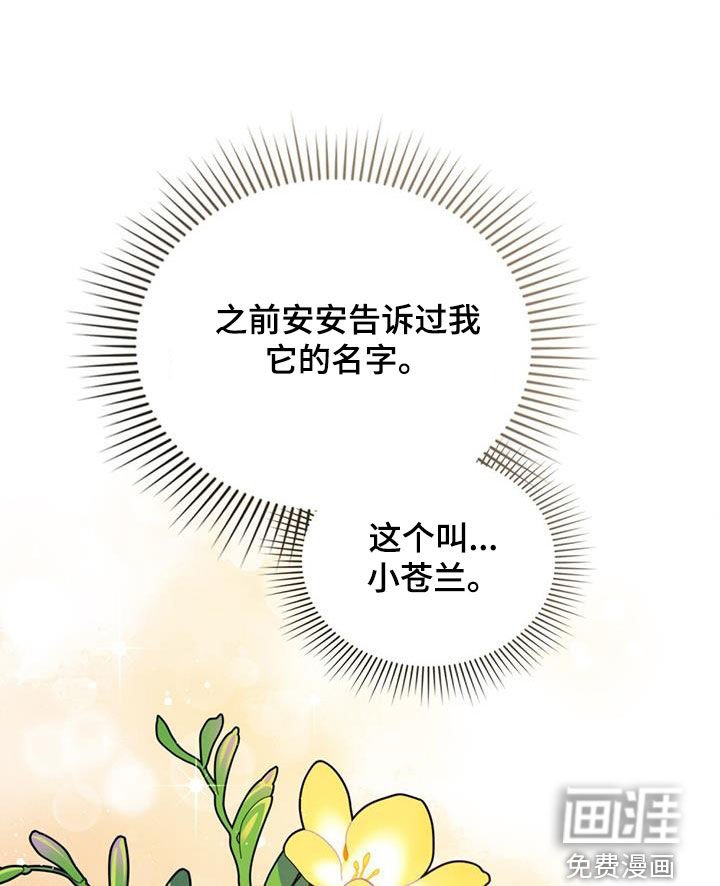 第23章：花园