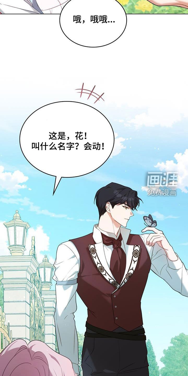 第23章：花园