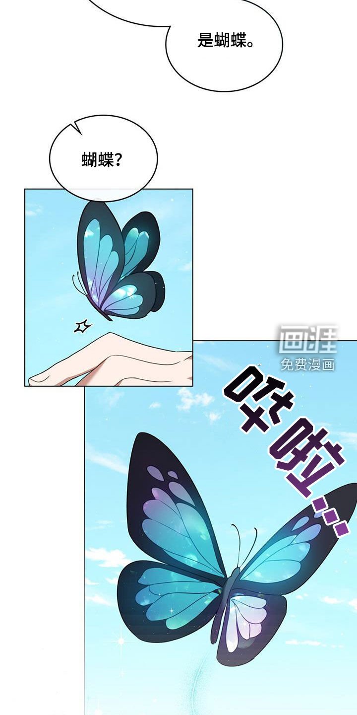 第23章：花园