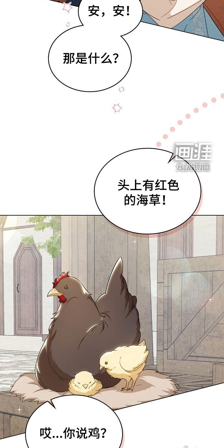 第30章：集市