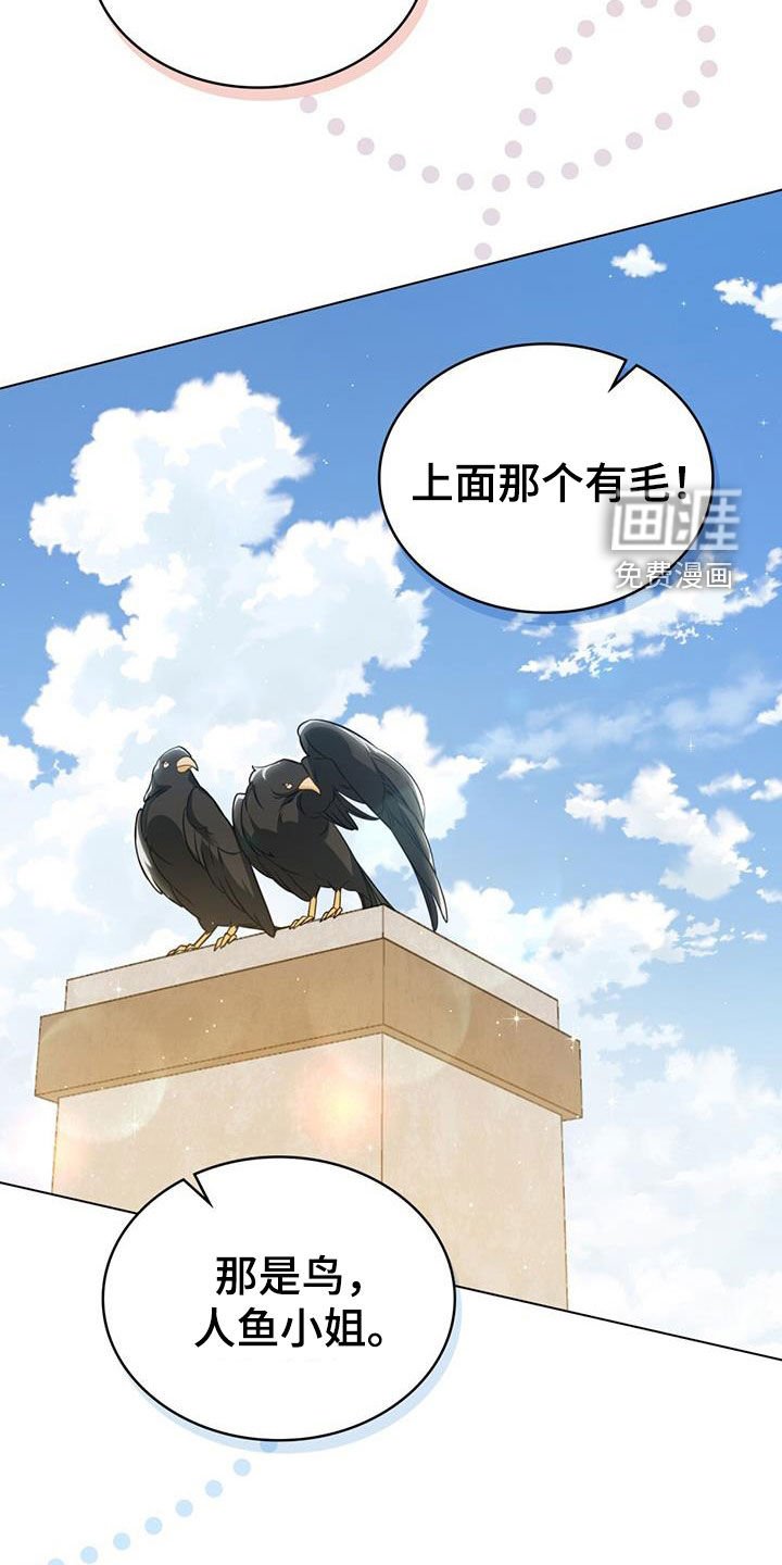 第30章：集市