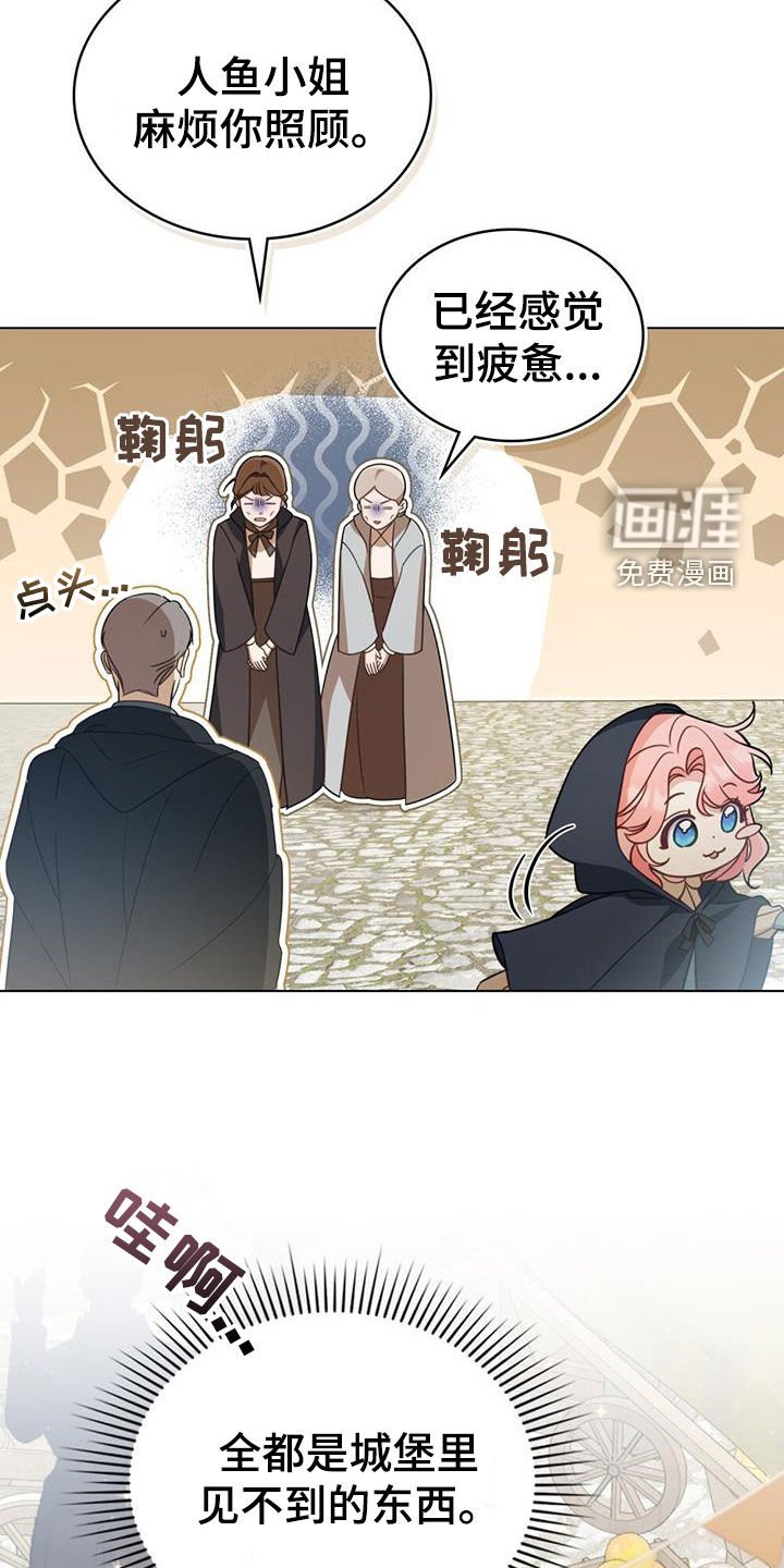 第30章：集市