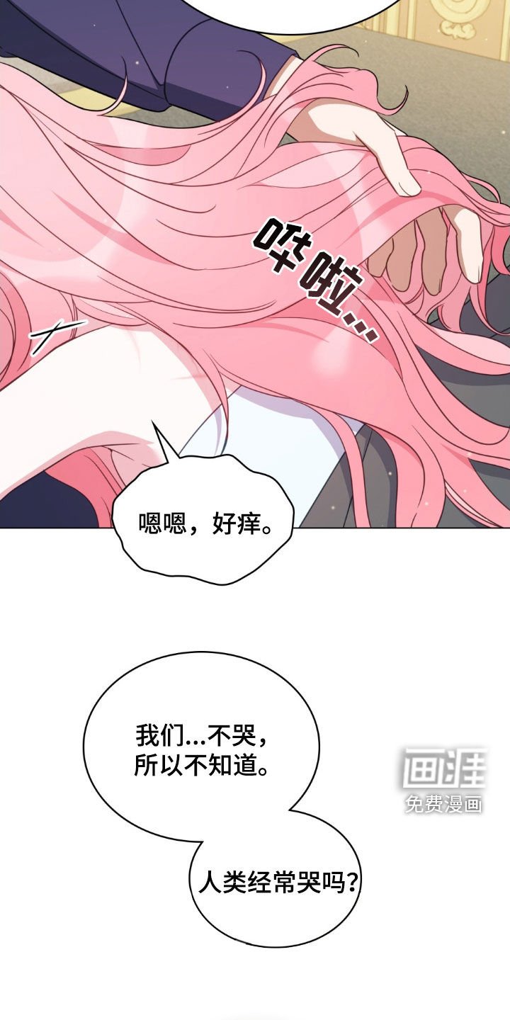 第44章：珍珠