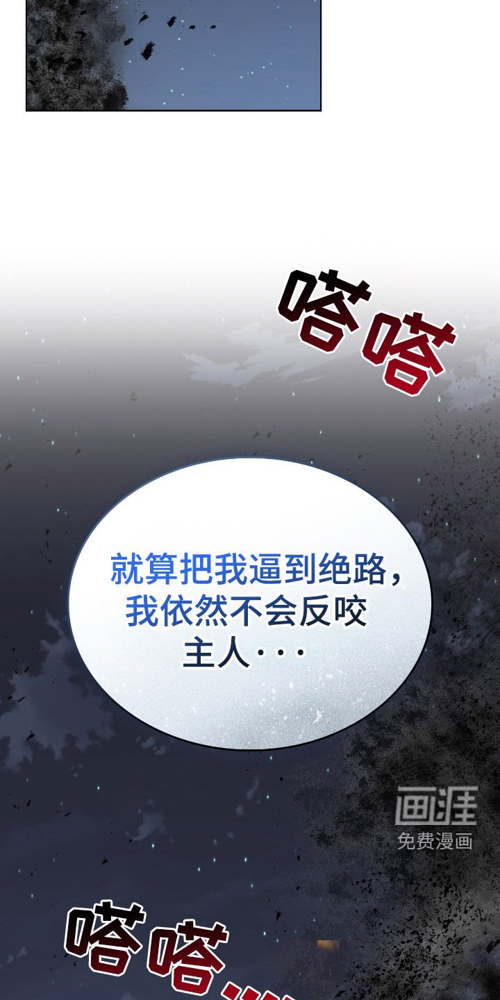 第56章：那就够了