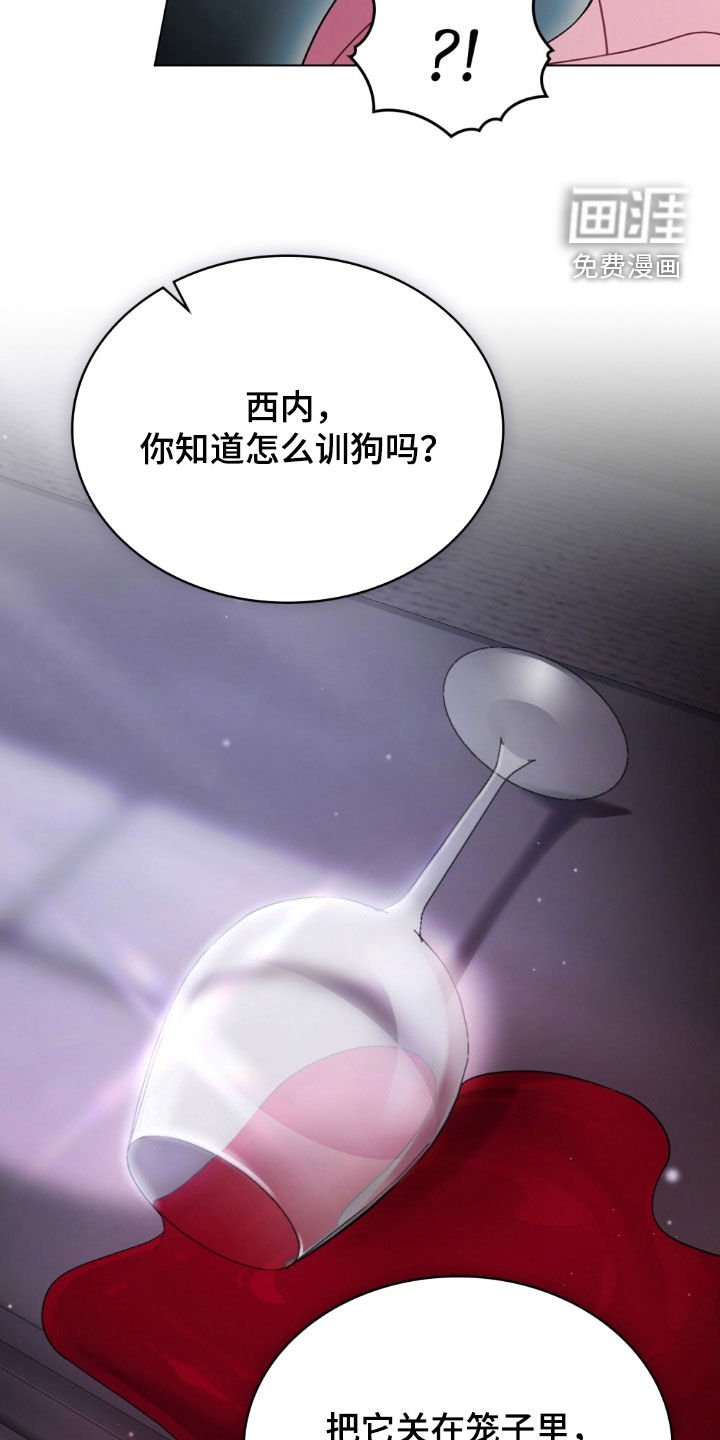 第61章：新的狗绳