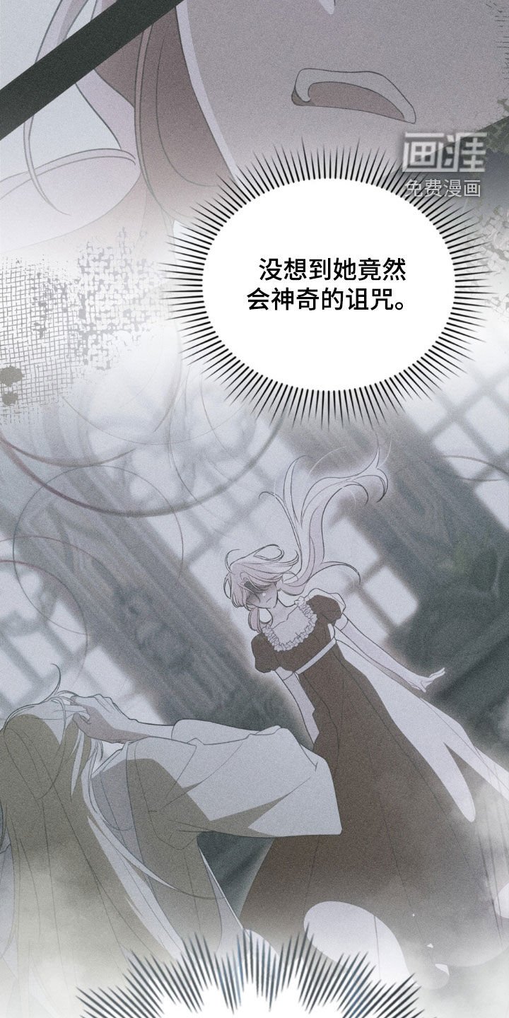 第65章：不是普通女人（第一季完结）