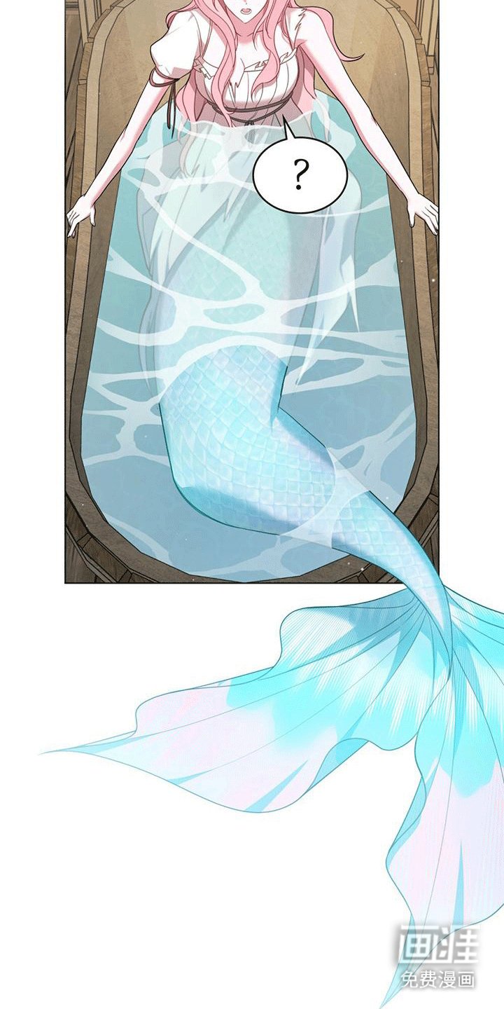 第7章：塞伦希德