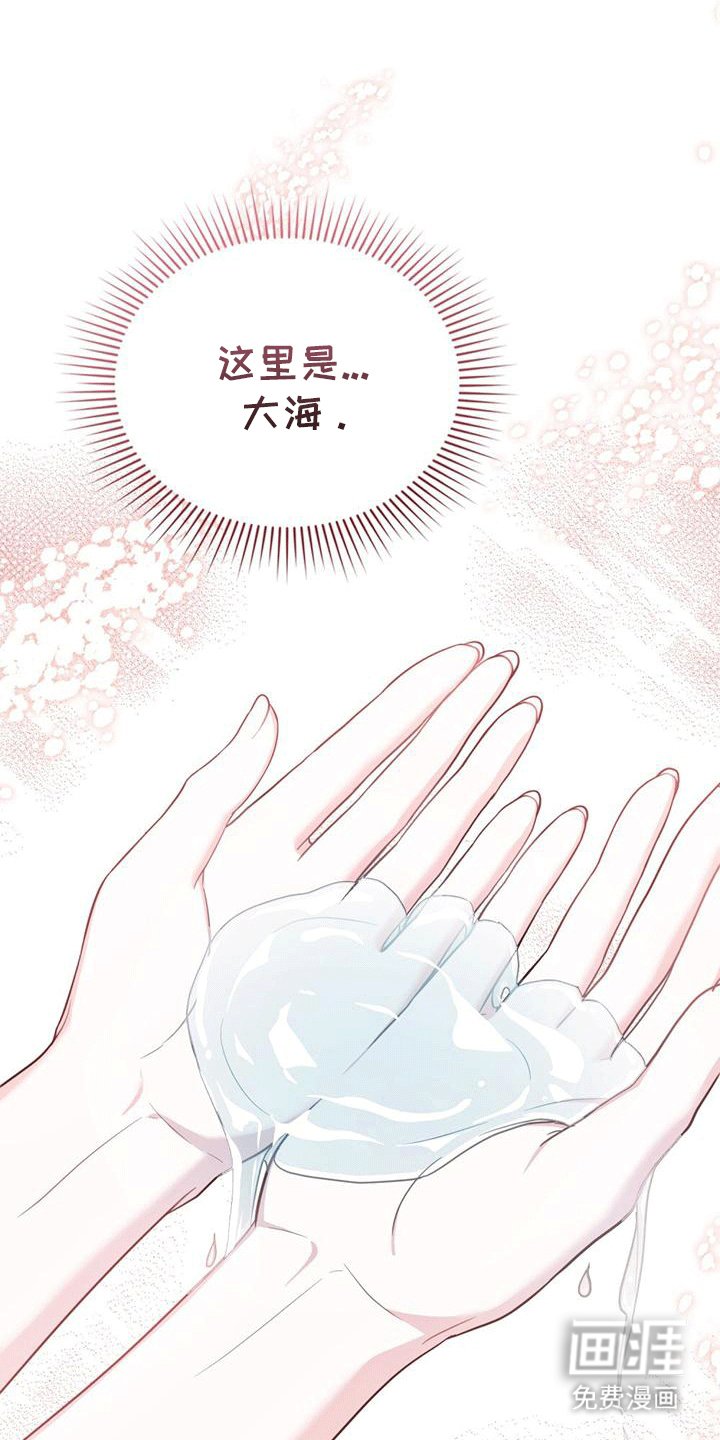 第7章：塞伦希德