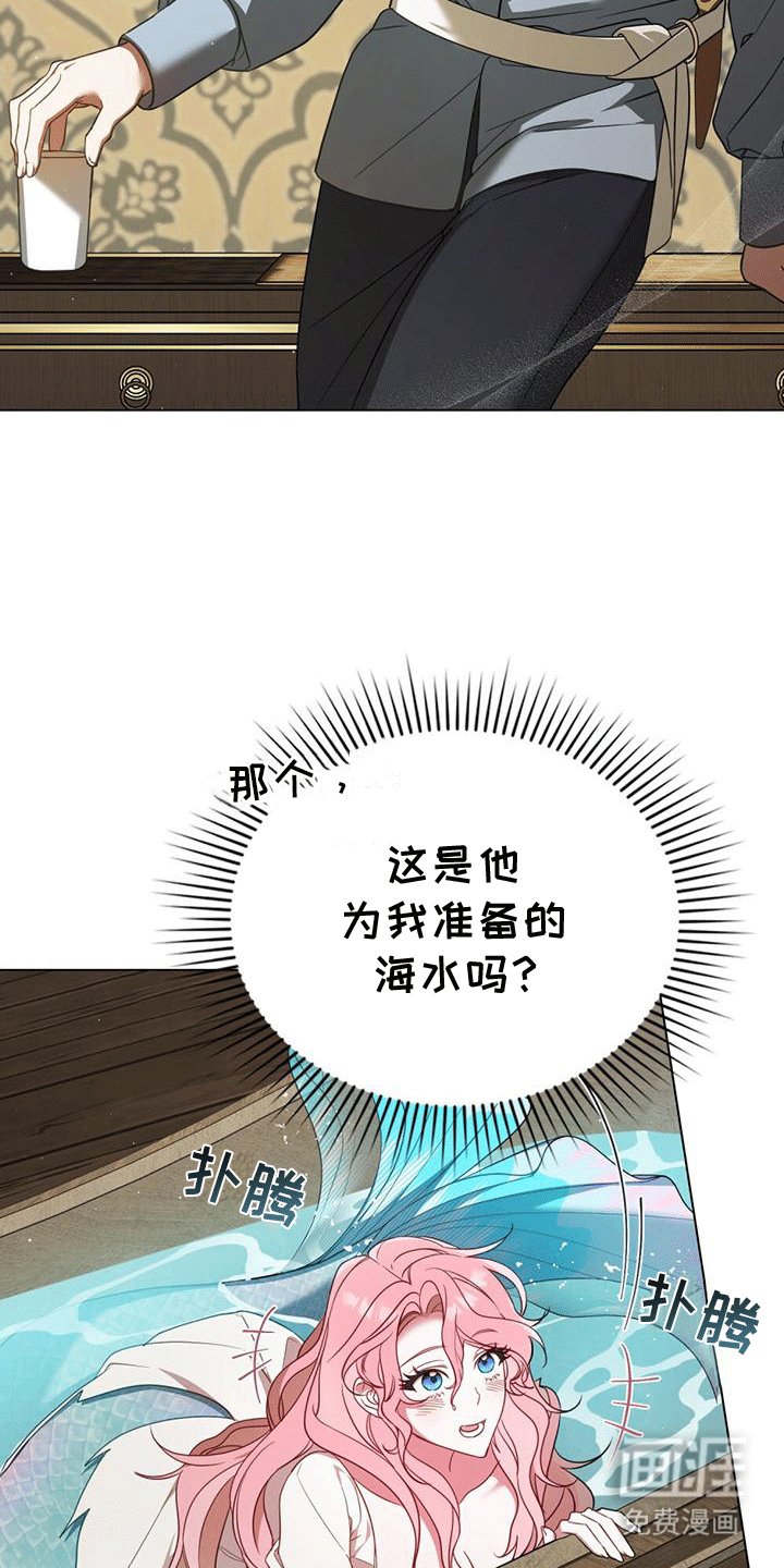 第7章：塞伦希德