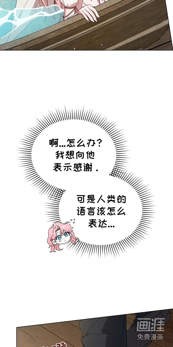 第7章：塞伦希德