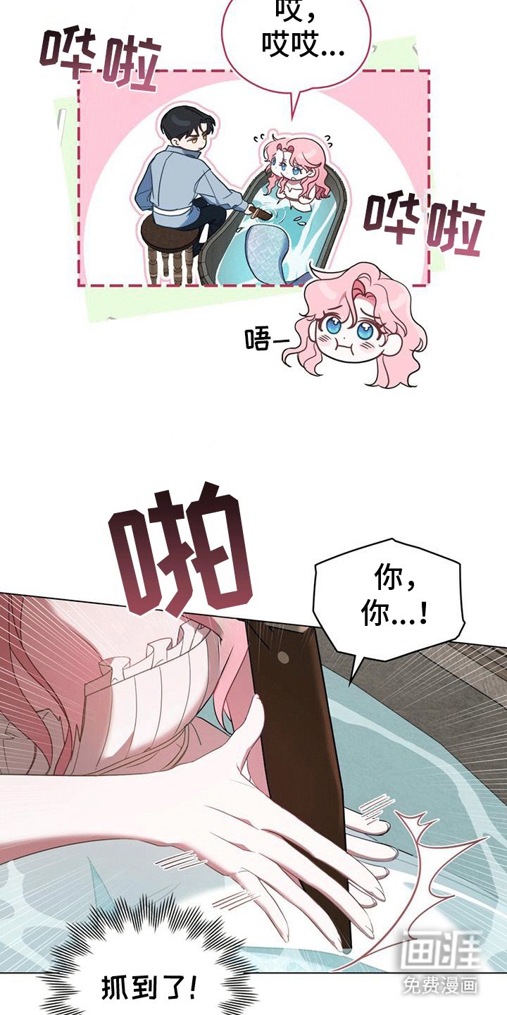 第7章：塞伦希德