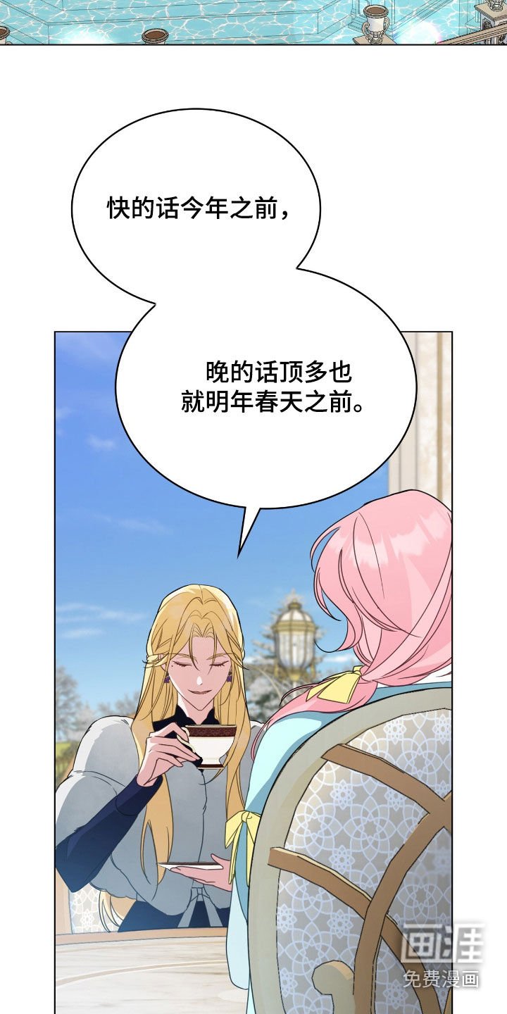 第87章：【第二季】避孕茶
