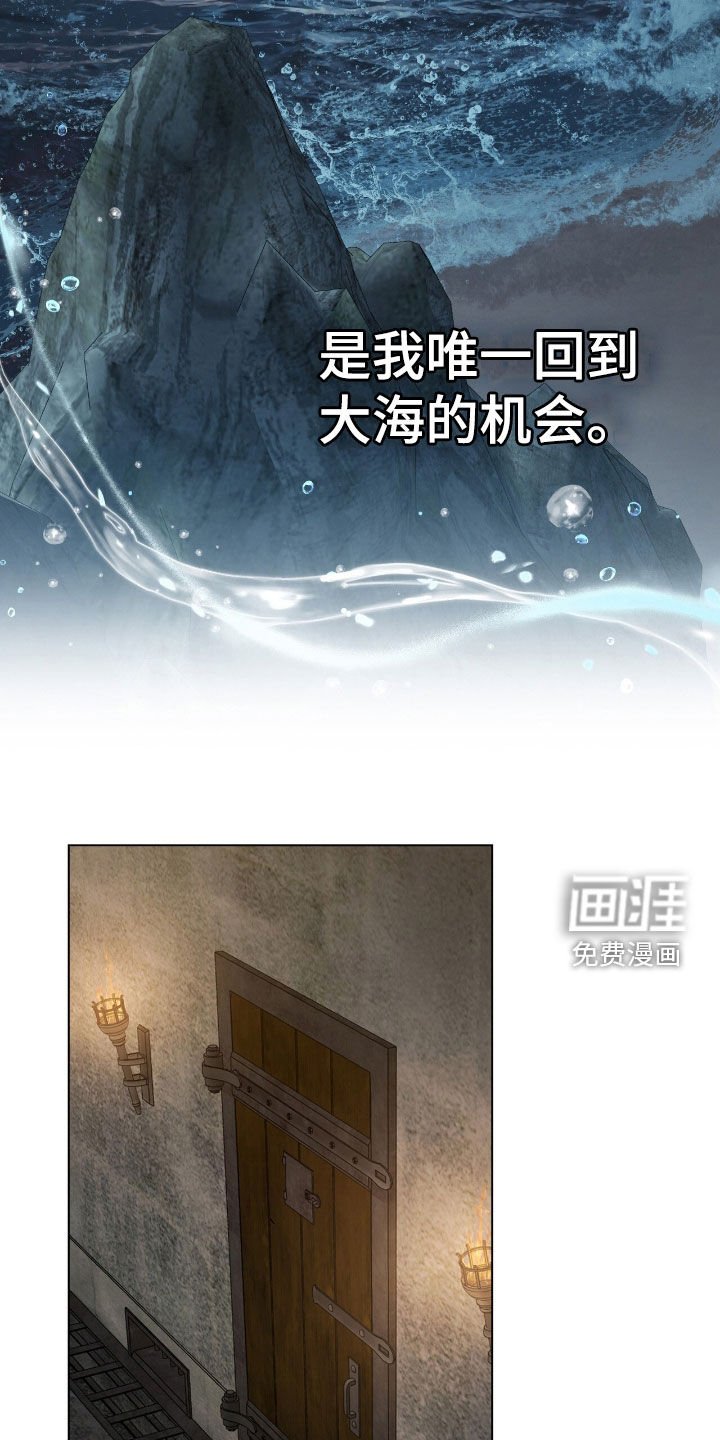 第93章：【第二季】唯一的机会