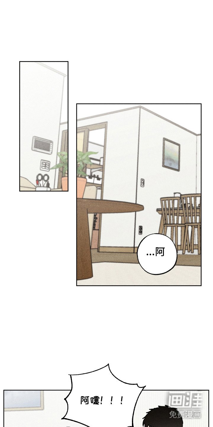 第13章：表白
